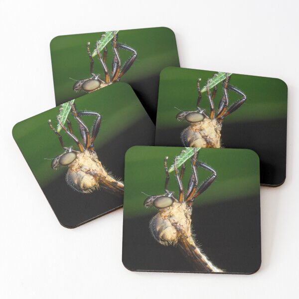 Item preview, A robber fly (assassin fly) wait for its next prey designed and sold by AvonPerception.