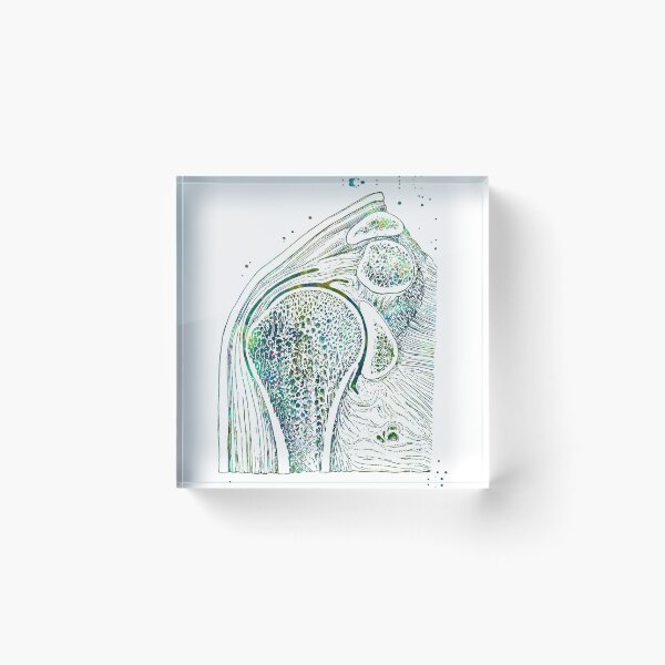 Item preview, Shoulder Joint Section designed and sold by EvasDreams.