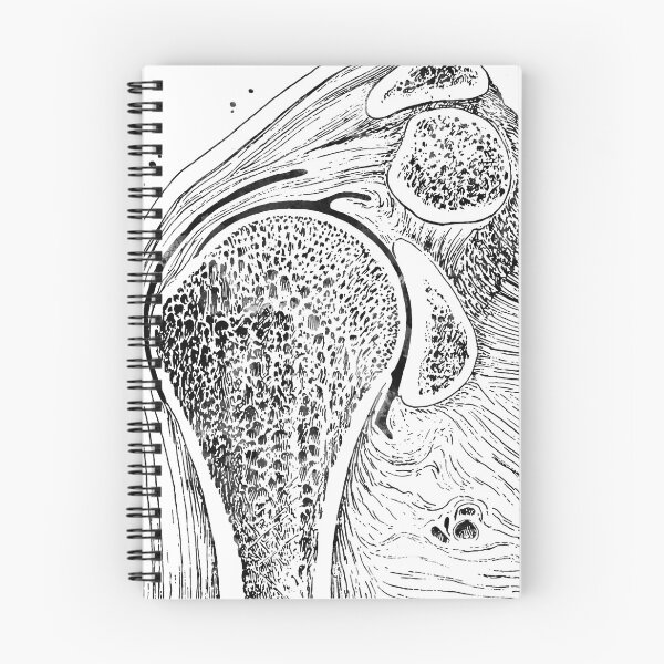 Item preview, Shoulder Joint Section designed and sold by EvasDreams.