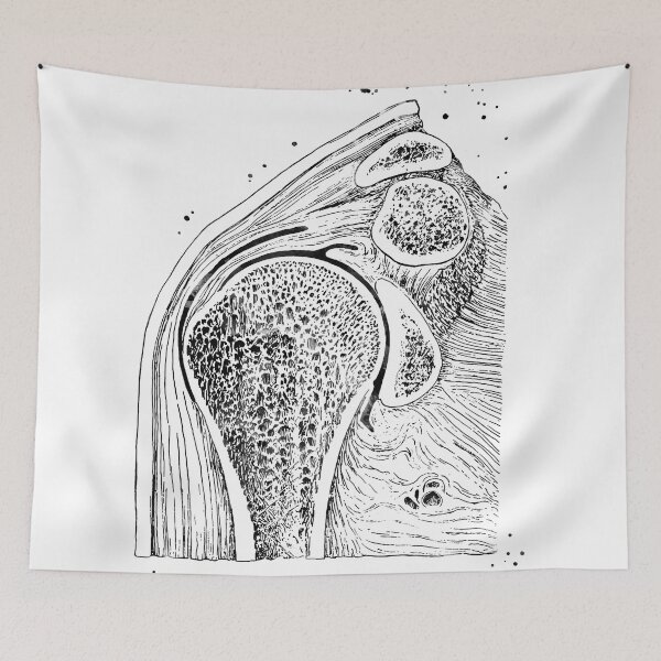 Item preview, Shoulder Joint Section designed and sold by EvasDreams.
