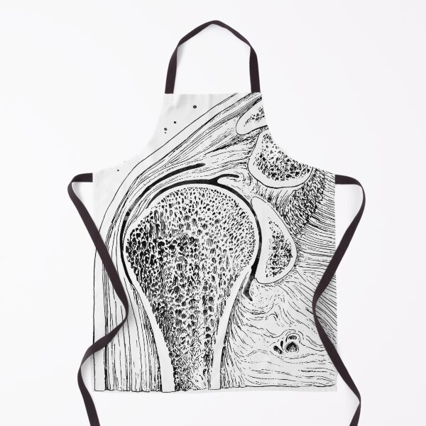 Item preview, Shoulder Joint Section designed and sold by EvasDreams.