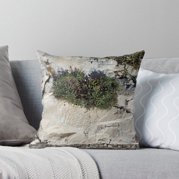 Item preview, A plant among stones designed and sold by Tervezek.