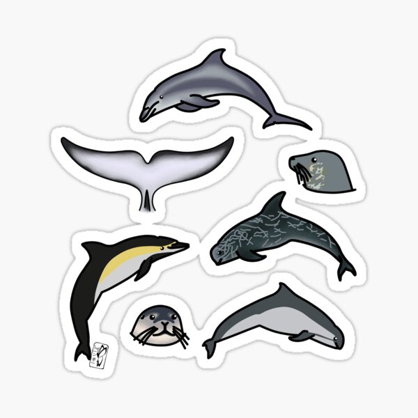 Item preview, Marine mammals pattern designed and sold by rainbowcho.