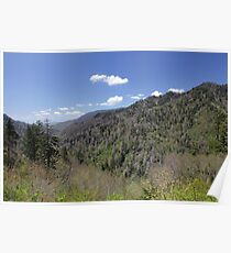 Smokies Poster