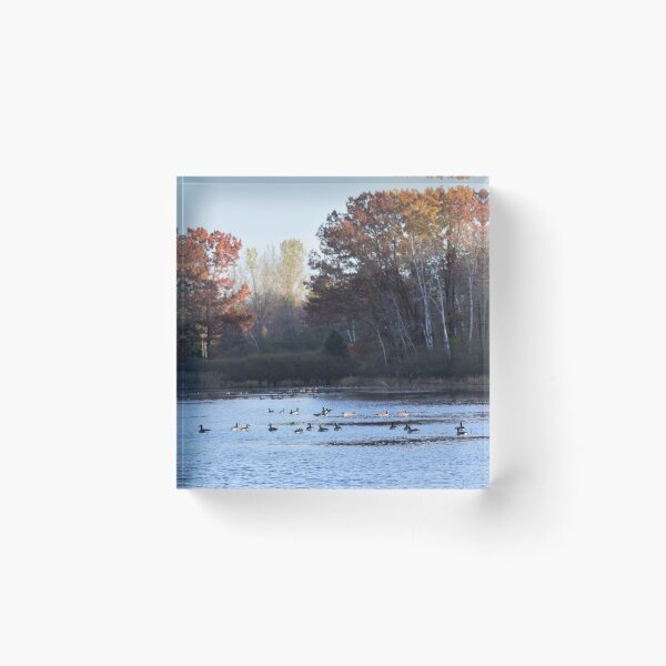 Item preview, floating fall designed and sold by Kljaster.