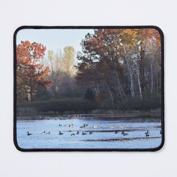 Item preview, floating fall designed and sold by Kljaster.