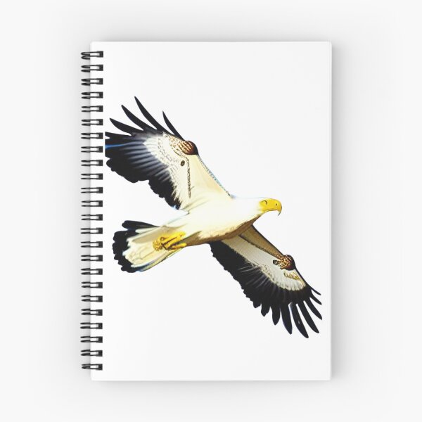 Item preview, Flying Eagle designed and sold by David-Howells.