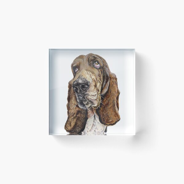 Item preview, Boris the Basset designed and sold by Marla Kurzec.