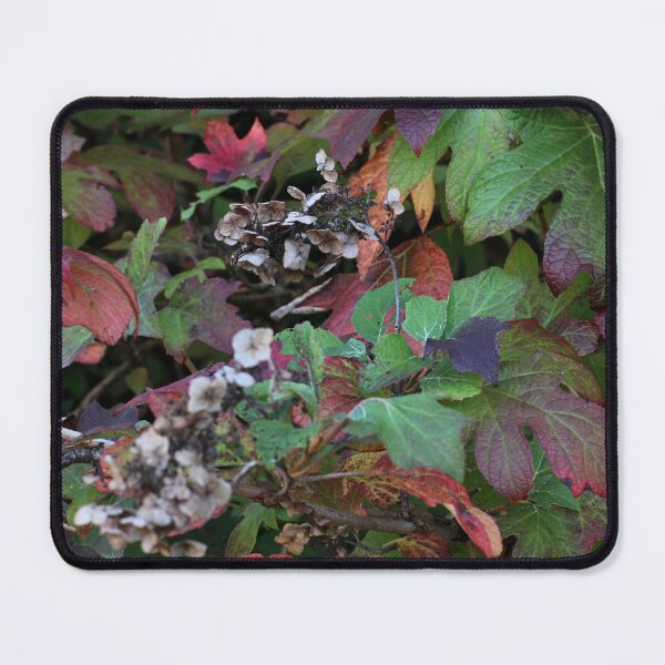 Item preview, Appalachia Fall Foliage designed and sold by ktmobrien.