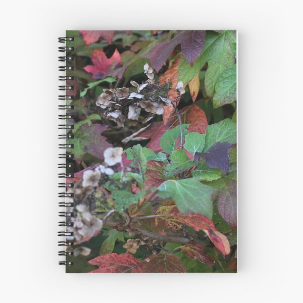 Item preview, Appalachia Fall Foliage designed and sold by ktmobrien.