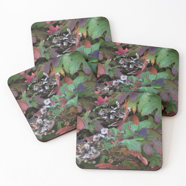 Item preview, Appalachia Fall Foliage designed and sold by ktmobrien.
