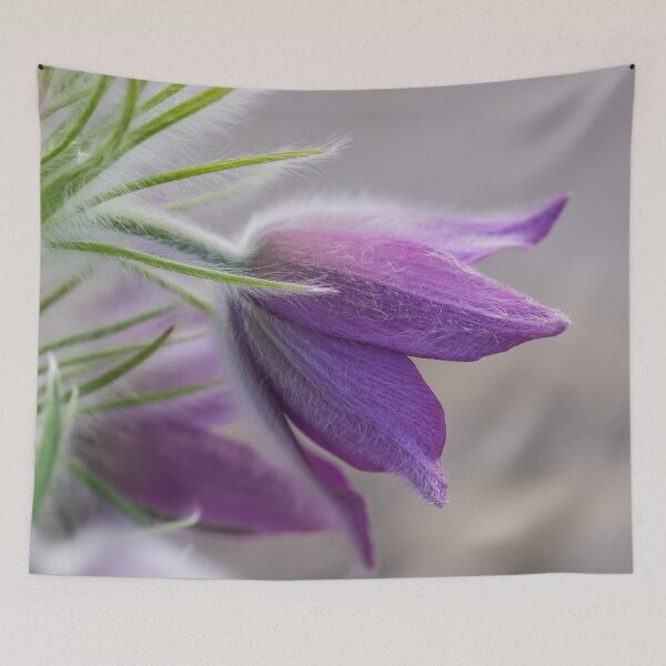 Item preview, Purple Flower designed and sold by LilLizphoto.
