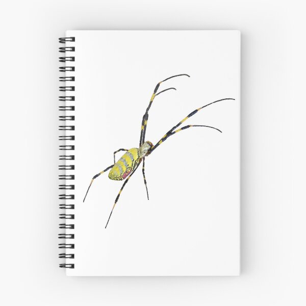 Item preview, Joro Spider Invasive Species designed and sold by BrittanyRathel.