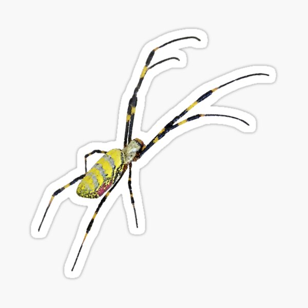 Item preview, Joro Spider Invasive Species designed and sold by BrittanyRathel.