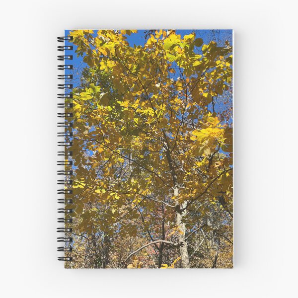 Item preview, Fall Foliage Blue Ridge Mountains  designed and sold by ktmobrien.