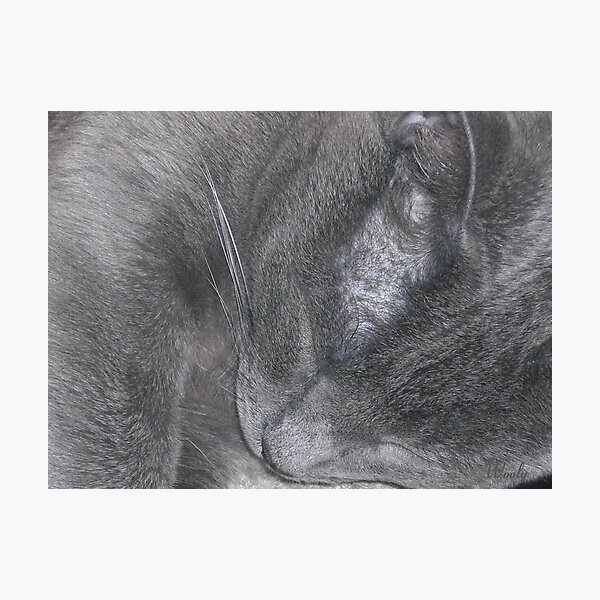 The Sleep of the Innocent Photographic Print