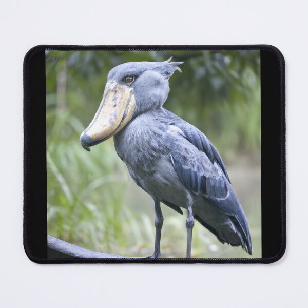 Item preview, shoebill t-shirt designed and sold by shirtkosa.