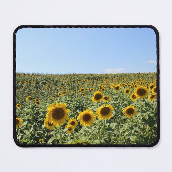 Item preview, Sunflower Field in Appalachia designed and sold by ktmobrien.