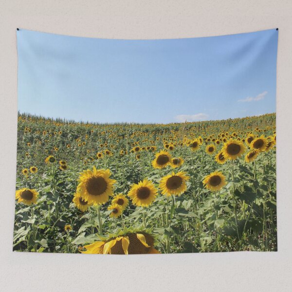 Item preview, Sunflower Field in Appalachia designed and sold by ktmobrien.