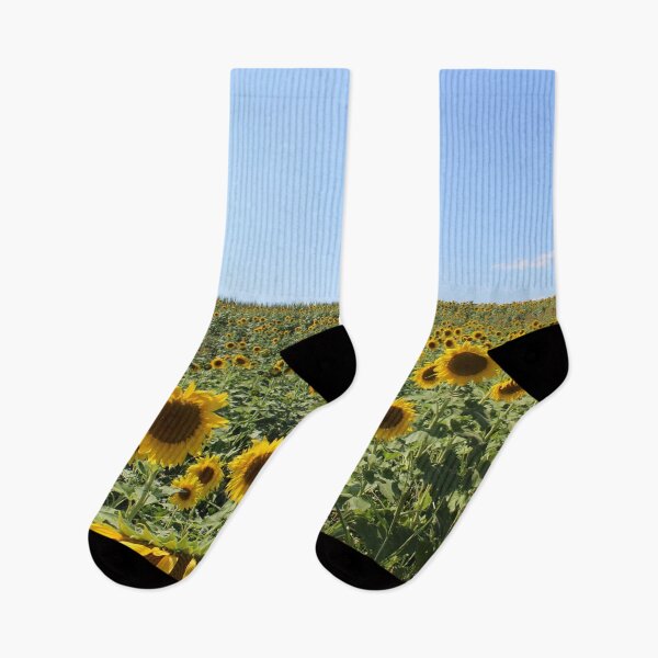 Item preview, Sunflower Field in Appalachia designed and sold by ktmobrien.