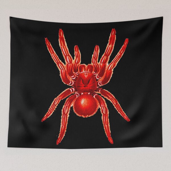 Item preview, HD Red Tarantula designed and sold by MINDTHECHERRY.