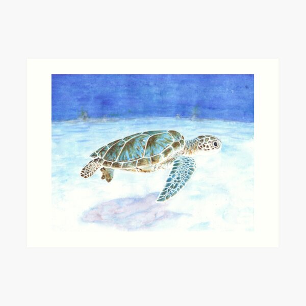 Sea turtle underwater Art Print