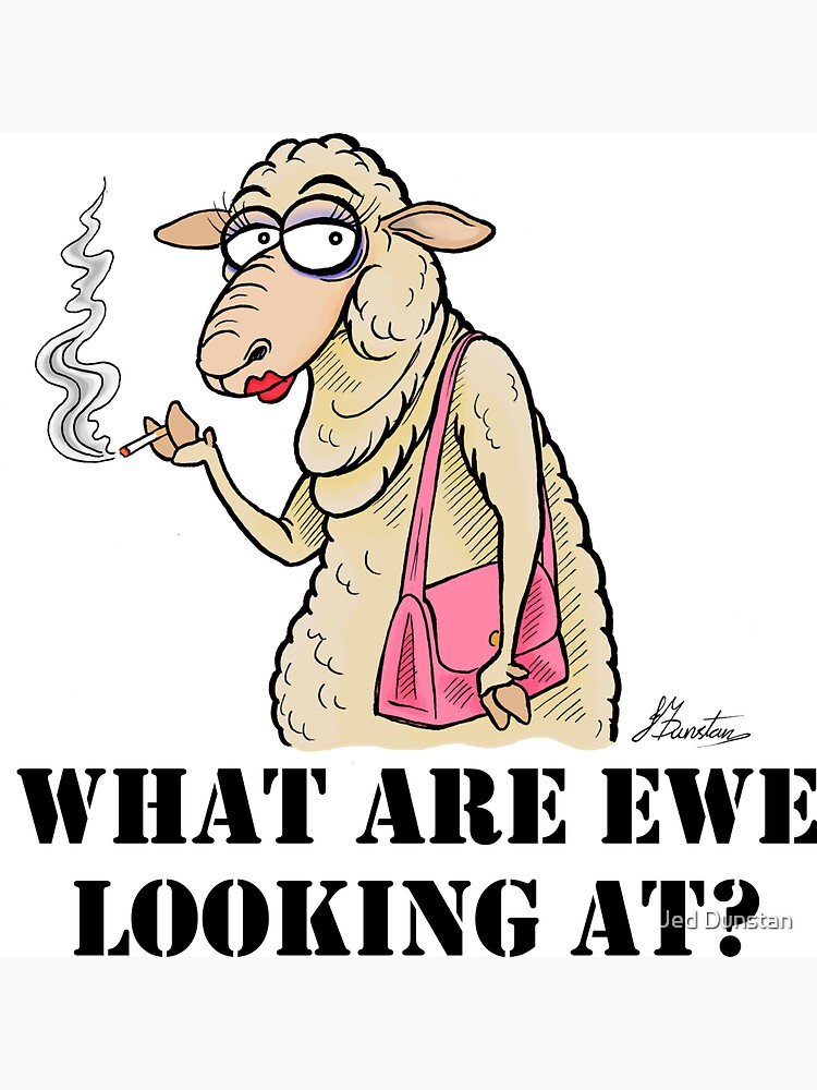 What Are Ewe Looking At ? by jeddunstan