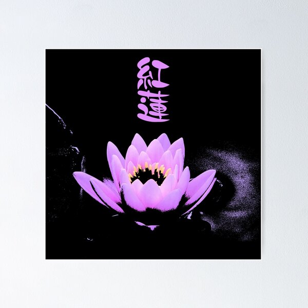 Dibujo De Flor De Loto Japonesa Pancarta Japonesa Con Flor De Loto