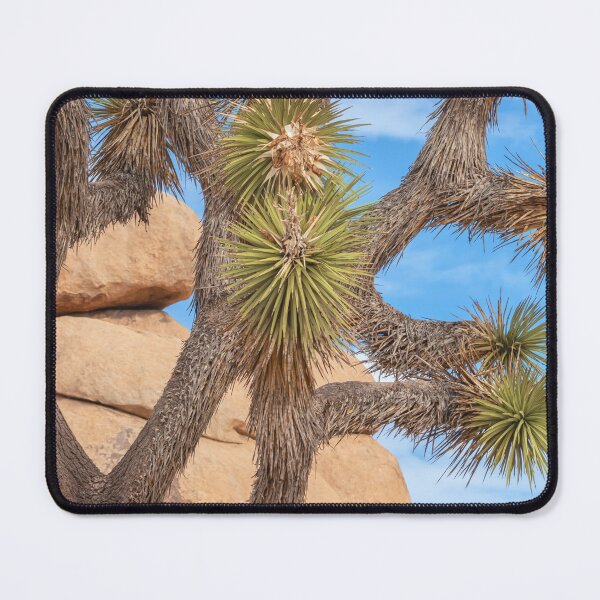 Item preview, Joshua Tree designed and sold by jvnimages.