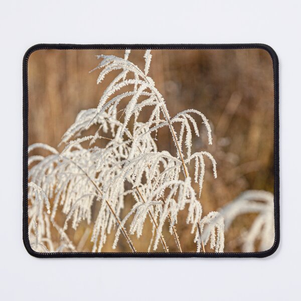 Item preview, Frosted grasses designed and sold by Dalyndigital Photography.