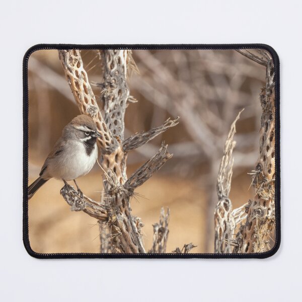 Item preview, Black-Throated Sparrow designed and sold by jvnimages.