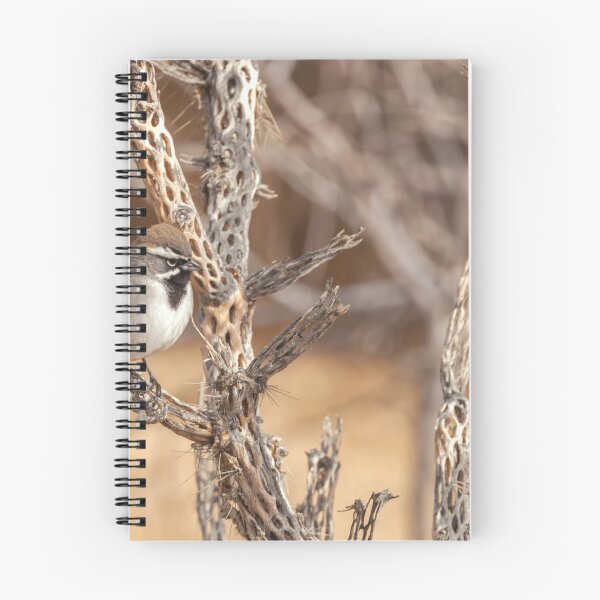 Item preview, Black-Throated Sparrow designed and sold by jvnimages.