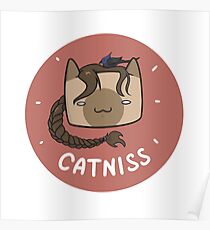 Catniss Poster