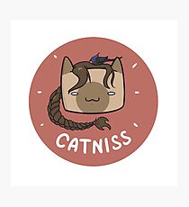 Catniss Photographic Print