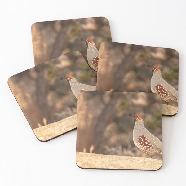 Item preview, Gamble Quail  designed and sold by jvnimages.