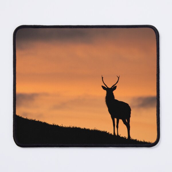 Item preview, Sunrise Stag Silhouette  designed and sold by Macrae images.