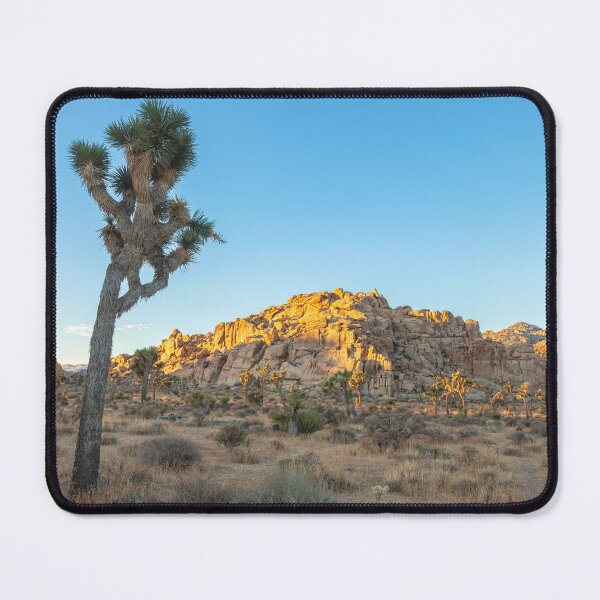 Item preview, Morning at Joshua designed and sold by jvnimages.
