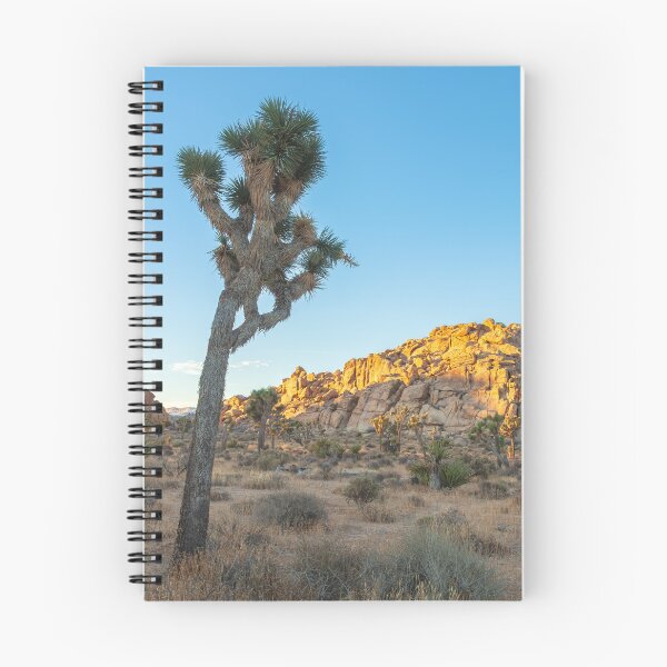Item preview, Morning at Joshua designed and sold by jvnimages.