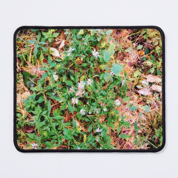 Item preview, Michaelmas daisies on the forest floor  designed and sold by Ivy-Bindig.