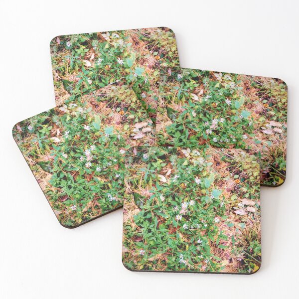Item preview, Michaelmas daisies on the forest floor  designed and sold by Ivy-Bindig.