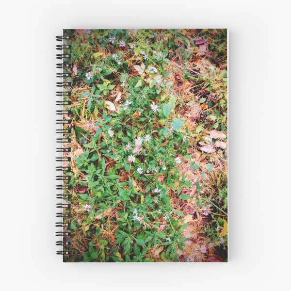 Item preview, Michaelmas daisies on the forest floor  designed and sold by Ivy-Bindig.