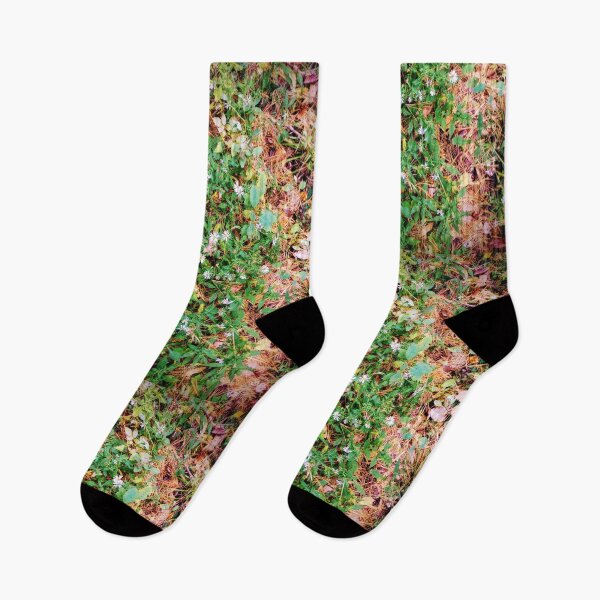 Item preview, Michaelmas daisies on the forest floor  designed and sold by Ivy-Bindig.