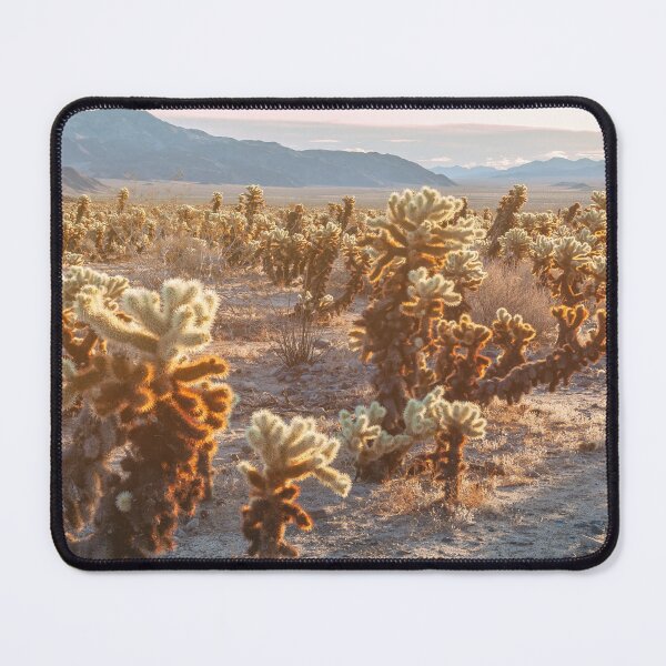 Item preview, Cholla Garden designed and sold by jvnimages.
