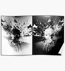 Pinhole Bones #1...doubled Poster
