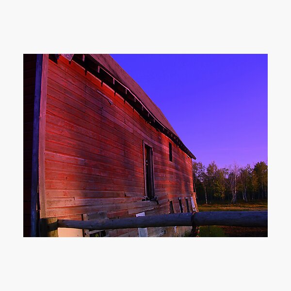 Beauty Never Grows Old Photographic Print