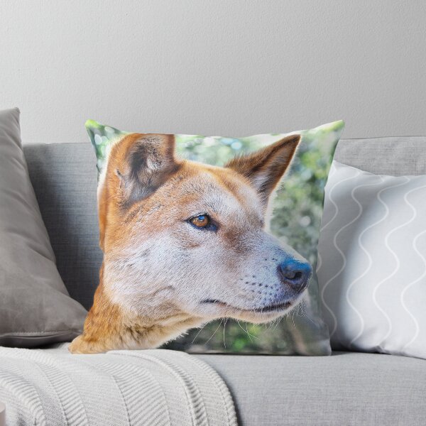 Item preview, Dingo Portrait: Tyipa designed and sold by George Petrovsky.
