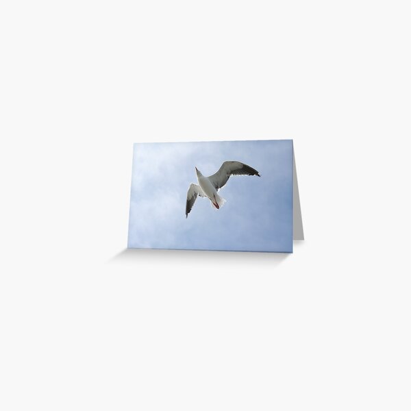 Item preview, In Flight designed and sold by Liz Wear.