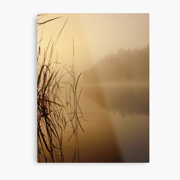 Nature and Silence Metal Print