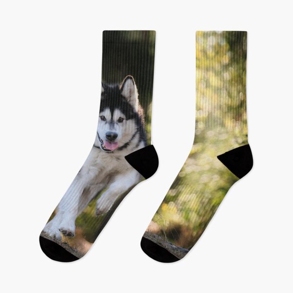 Item preview, Husky designed and sold by Dawn van Doorn.