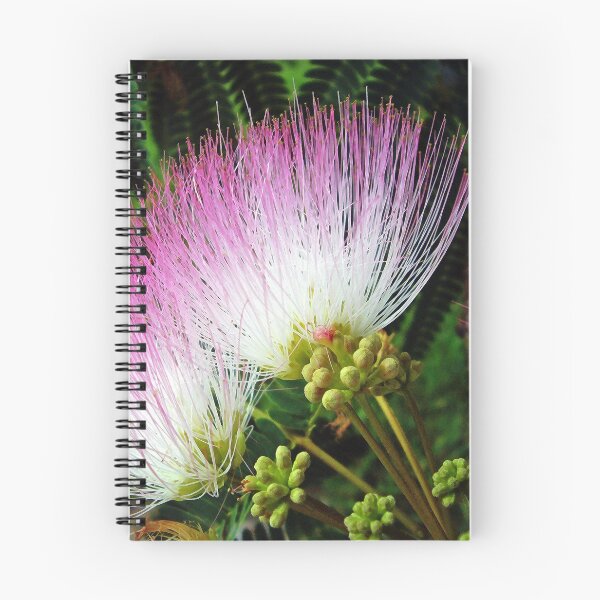 Item preview, Mimosa  designed and sold by Frankie Cat Photography.